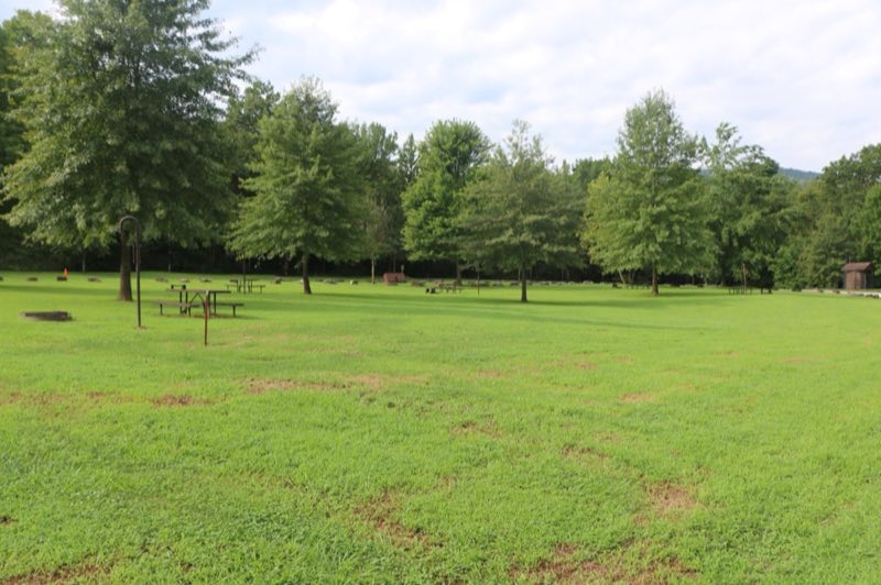Five campsites at Kyle's Landing with very few shade trees