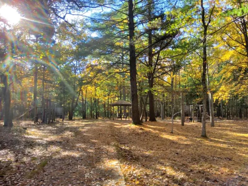 Lake Michigan Recreation Area