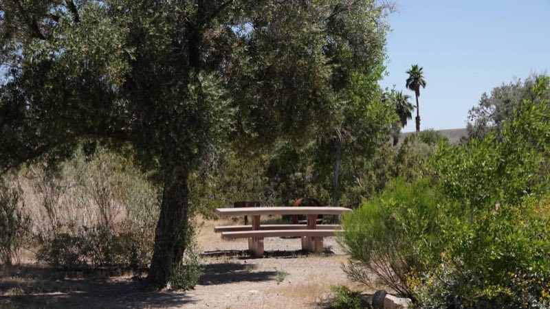 Las Vegas Bay Campground offers shade trees and an enjoyable camping experience away from the lights of the city.