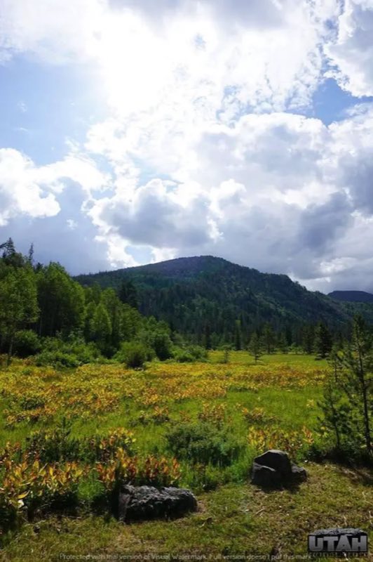 LEDGEFORK CAMPGROUND