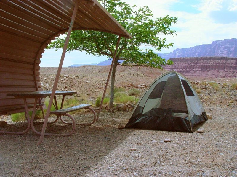 Tent and shade structure. One small tree.