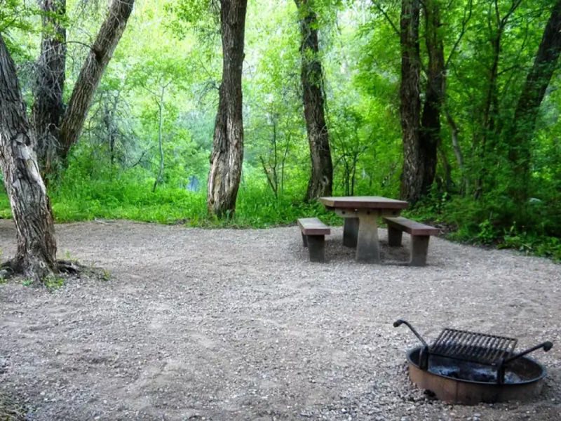 Campsite in Leigh Creek Campground