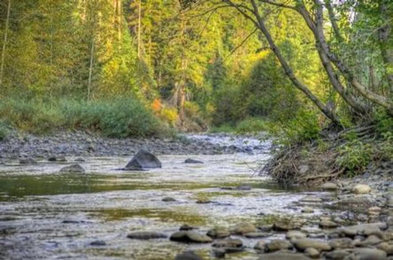 Little Naches Campground