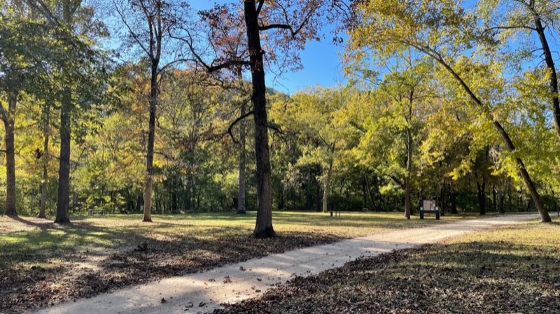 A grassy campground with trees in fall.