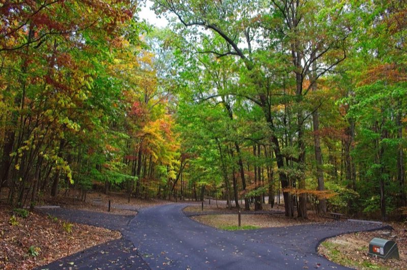 Paved road through a forested campground in early fall. Campsites and their parking spots in view.