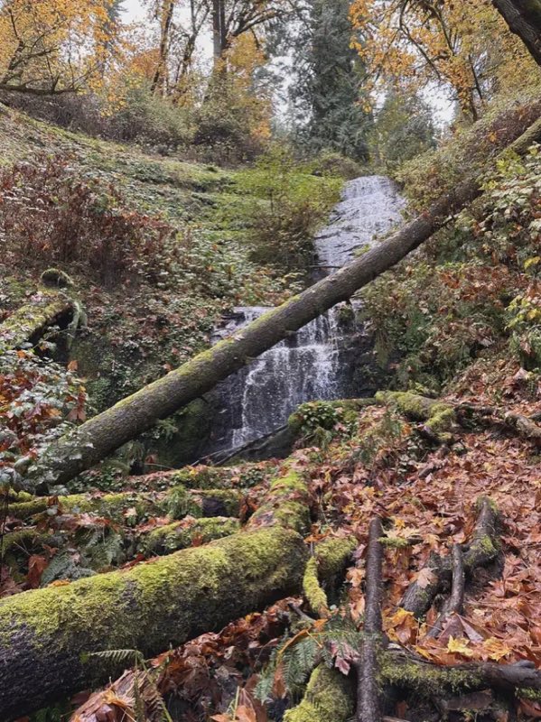 Waterfall on Elliott State Forest land accessed from Loon Lake day use area.