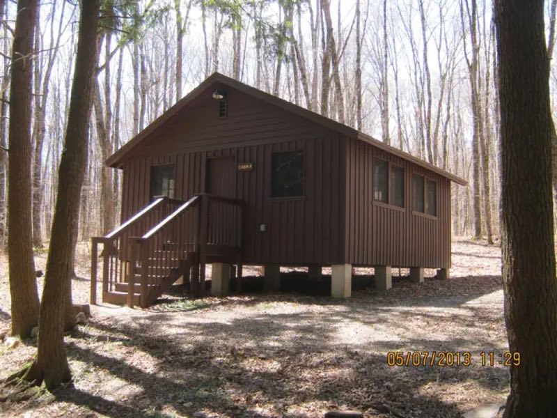 Cabin #8