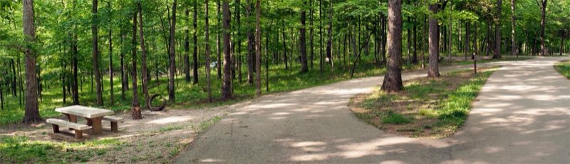 A campsite for RVs, showing paved turn-in, picnic table, and fire ring.