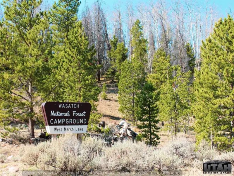 Marsh Lake Campground
