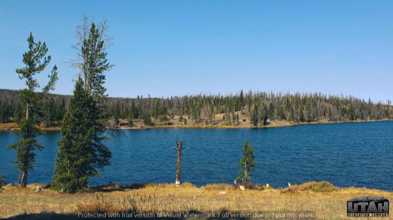 Marsh Lake Campground