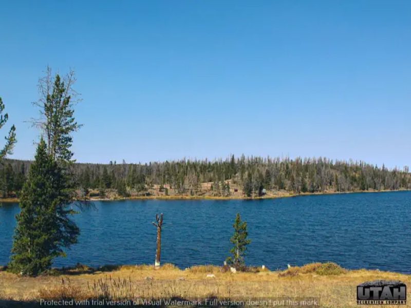 Marsh Lake Campground