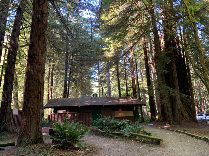 Wooden building underneath trees