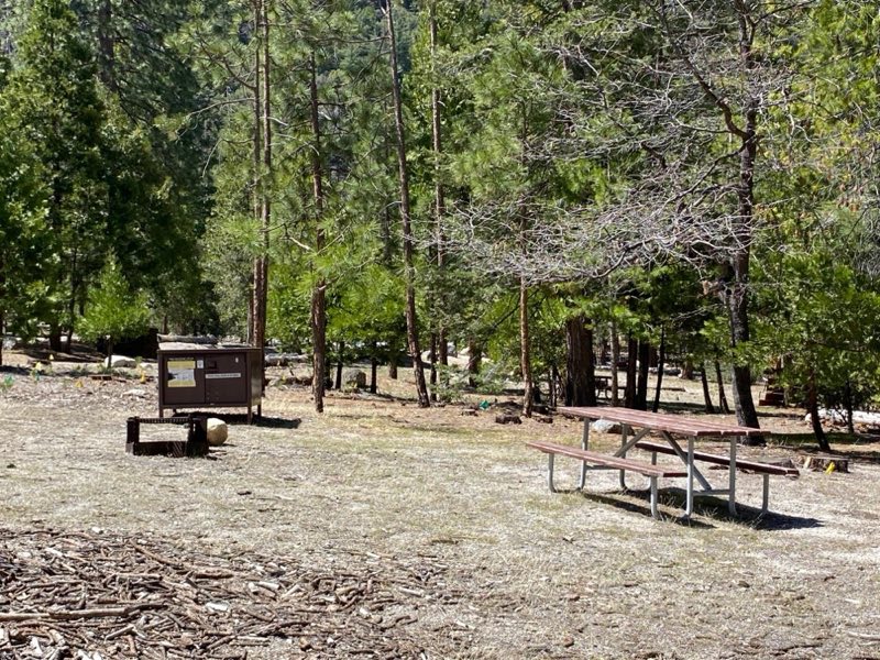 A campsite features a picnic table, fire grate, and food storage container.