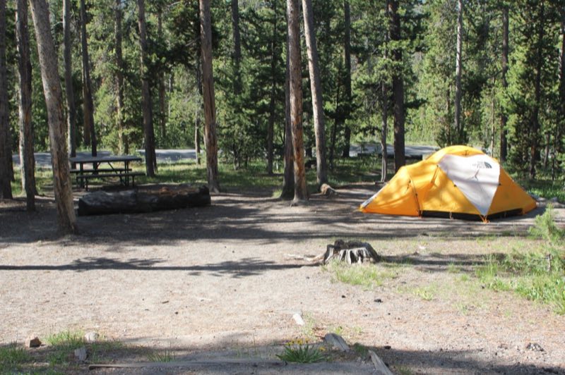 Tent pitched at a campground