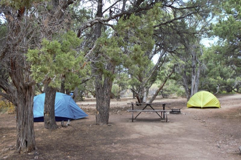 Two tents (yellow and blue) with a picnic table in forested campground area