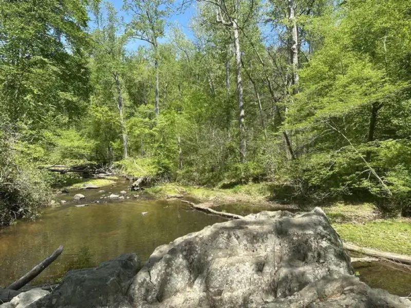 Quantico Creek flows through the park