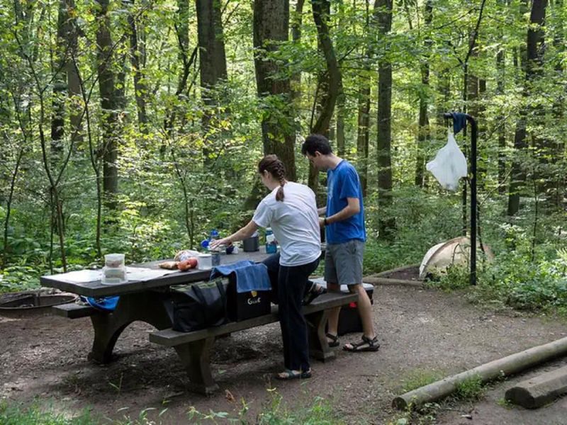 The eastern deciduous forest provides privacy and seclusion.