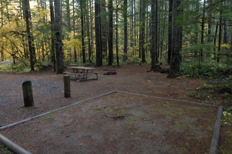 Panther Creek campsite