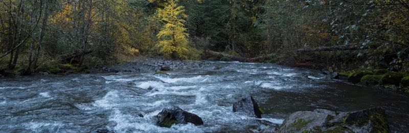Panther Creek