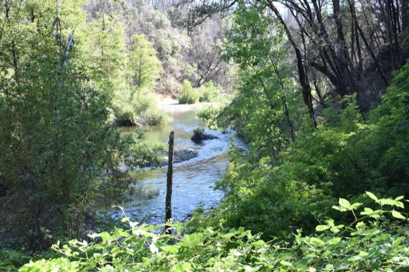 Clear Creek at Peltier Bridge Campground