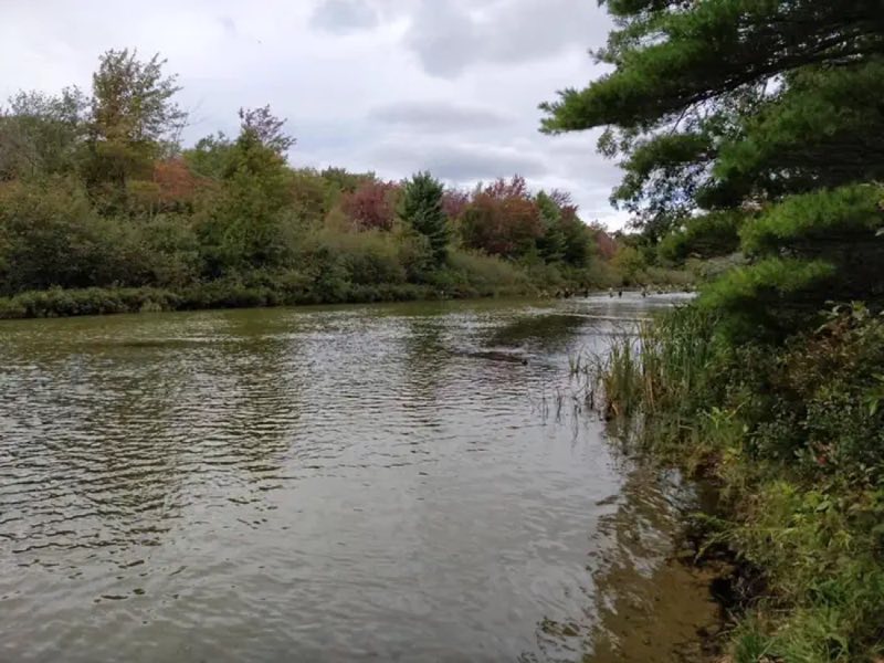 Salmon fishing in the Platte River