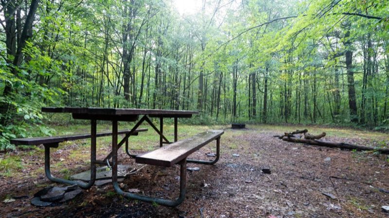 Picnic Table