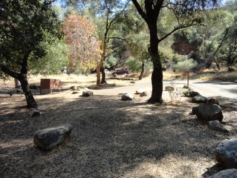 A campground site beneath oak trees