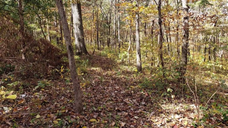 Pulltite Nature Trail