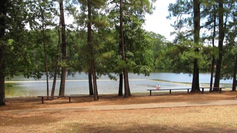 Ratcliff Lake View