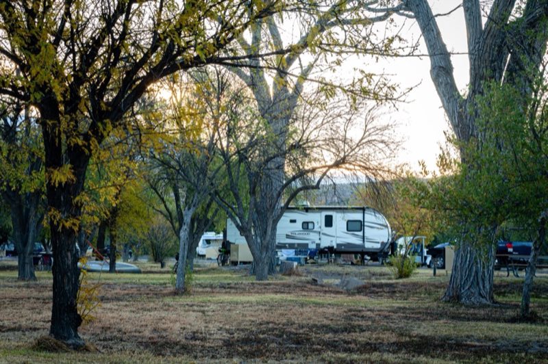 Rio Grande Village Campers