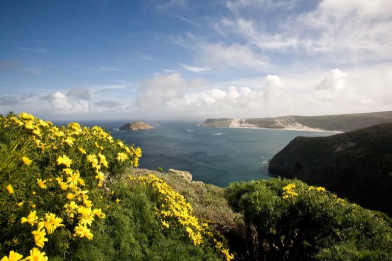 Cuyler Harbor, San Miguel Island