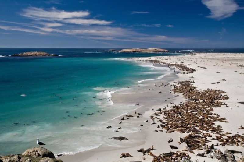 Point Bennett, San Miguel Island