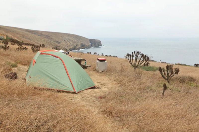 Campground, Santa Barbara Island