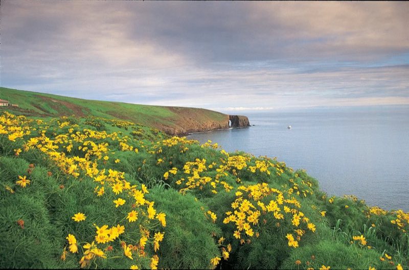 Arch Point, Santa Barbara Island