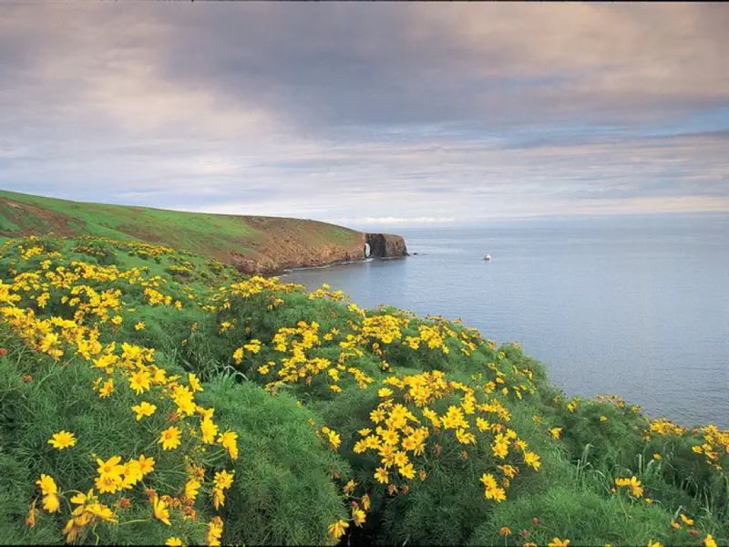 Arch Point, Santa Barbara Island