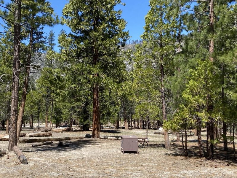 A campsite in Sentinel Campground is nestled among fir trees.