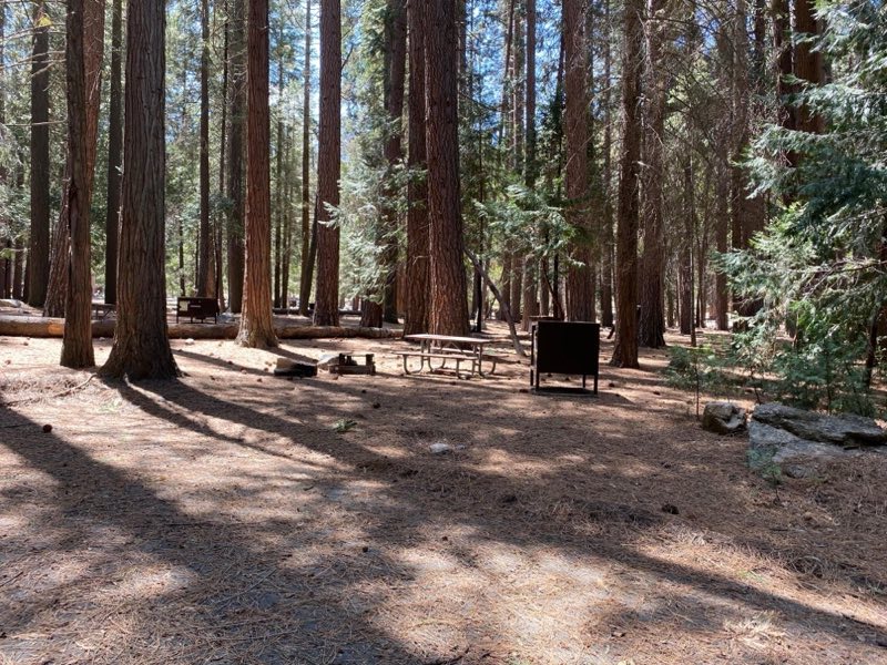 A campsite features a food storage box, picnic table, and a fire grate/grill.