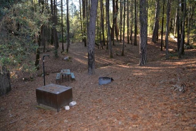 Sheep Camp Site 1