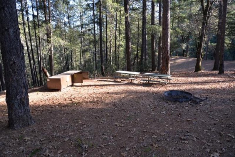 Sheep Camp Site 4