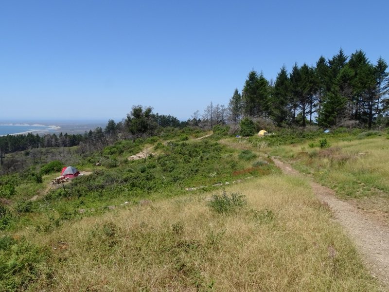 A trail leads through grass and shrubs towards a few campsites with a view of the ocean on the left.