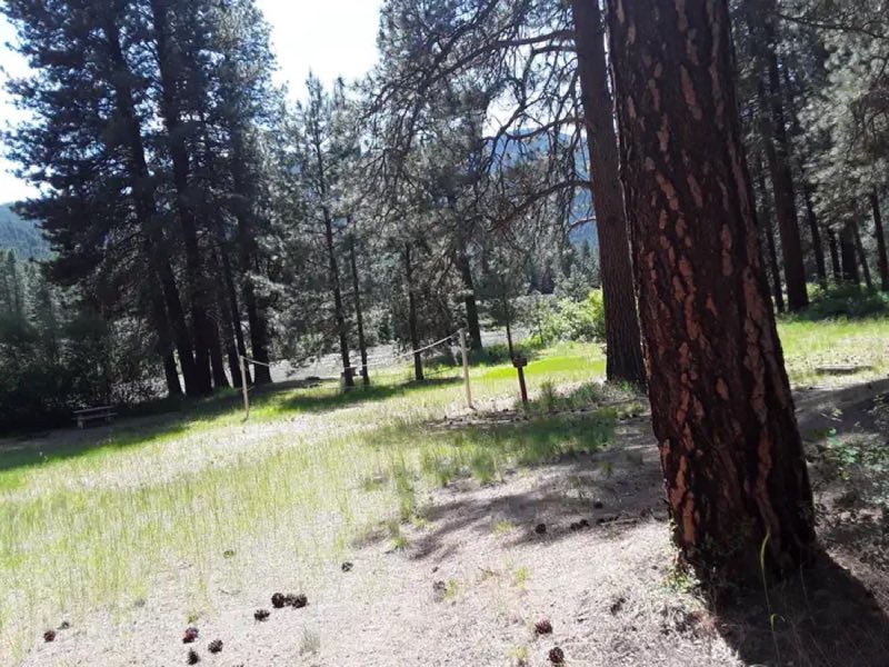 Sloway volleyball and horseshoe area.