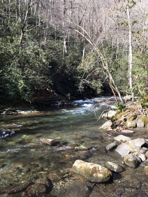 The group campsites have excellent access to the river.