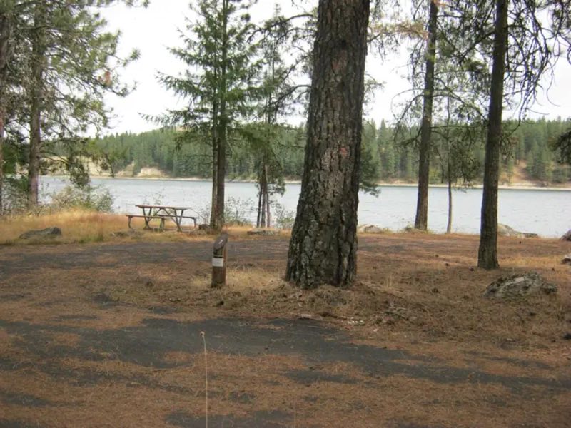 Campsite with trees and river in the background