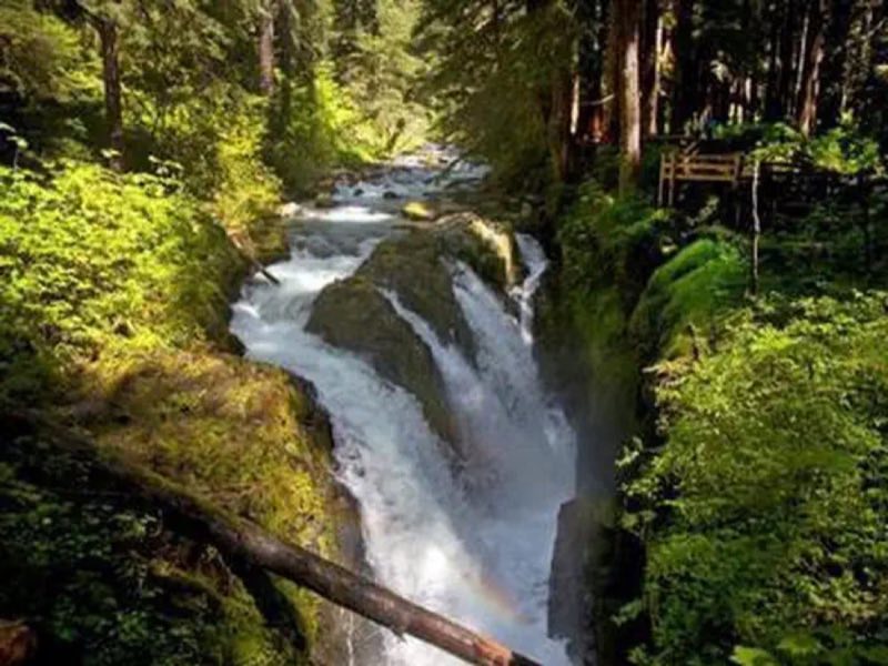 Falls near Sol Duc