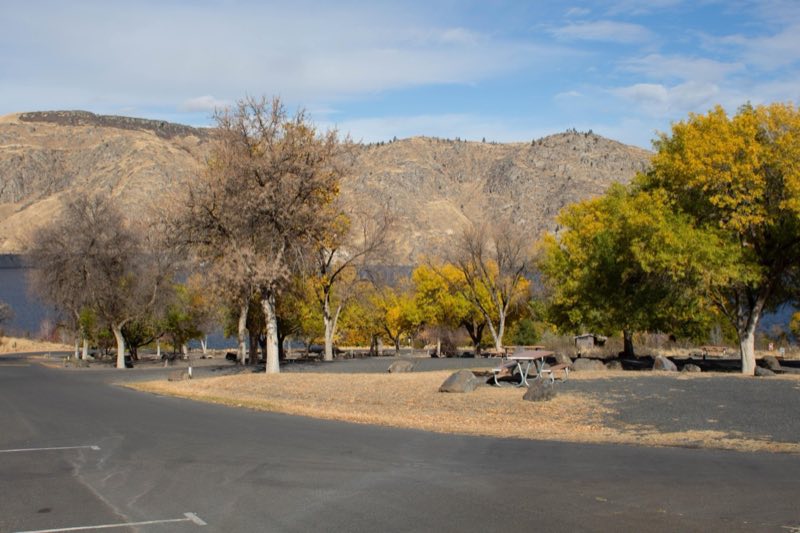 Multiple campsites along grey asphalt roads and surrounded by green and yellow leaved trees.