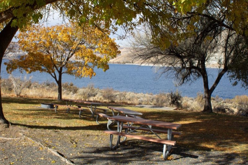 Shaded trees cast shadows on scattered picnic benches and grassy patches of lawn.