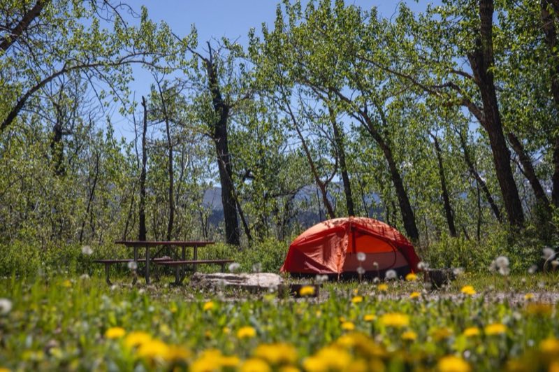 A brightly-colored tent sits next to a brown picnic table with trees in the background.