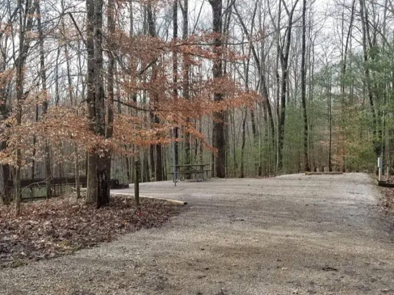 Station Camp Campground Site 21