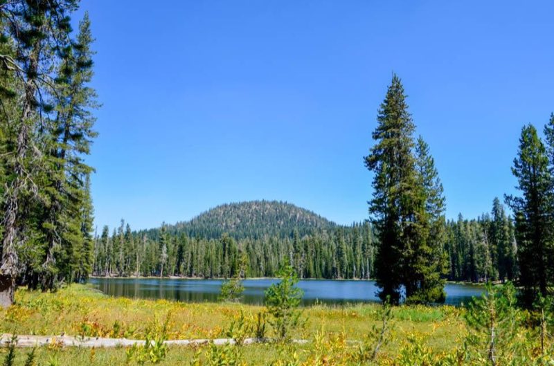 A blue lake fronted by green and yellow meadow, lined by conifers, and backed by a round, volcanic p