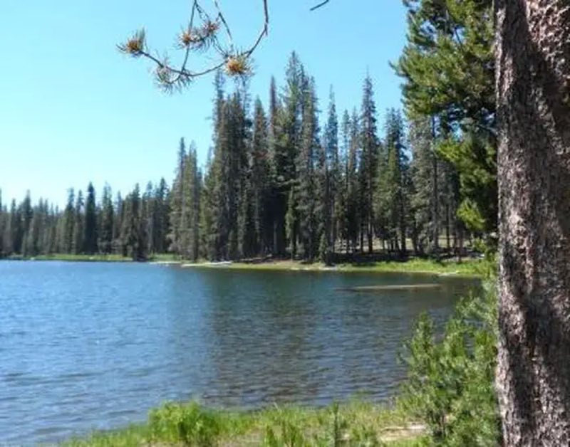 Summit Lake view near day use area